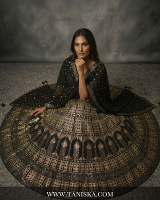 Midnight Gold Sequin & Mirror Work Lehenga