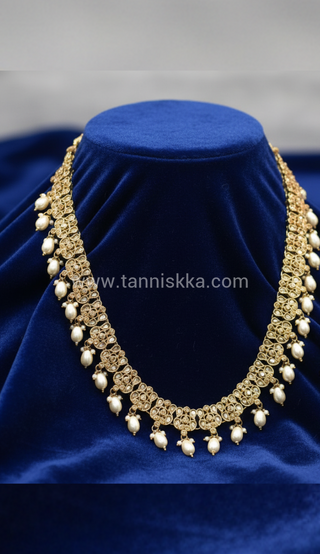 ANAYA Golden Long Haar - Long Haar Only
