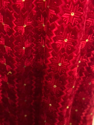 The Dholi Baarat Phulkari Dupatta - Punjabi Phulkari Dupatta