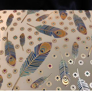 Peacock Feather Design Shagun Money Envelopes - 5s Pack - Money Envelopes for Gifting