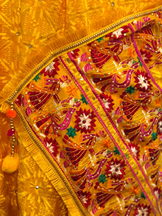 The Dulha-Dulhan Phulkari Dupatta