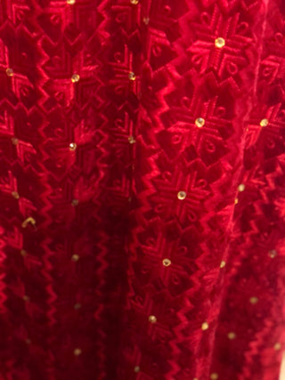 The Dholi Baarat Phulkari Dupatta